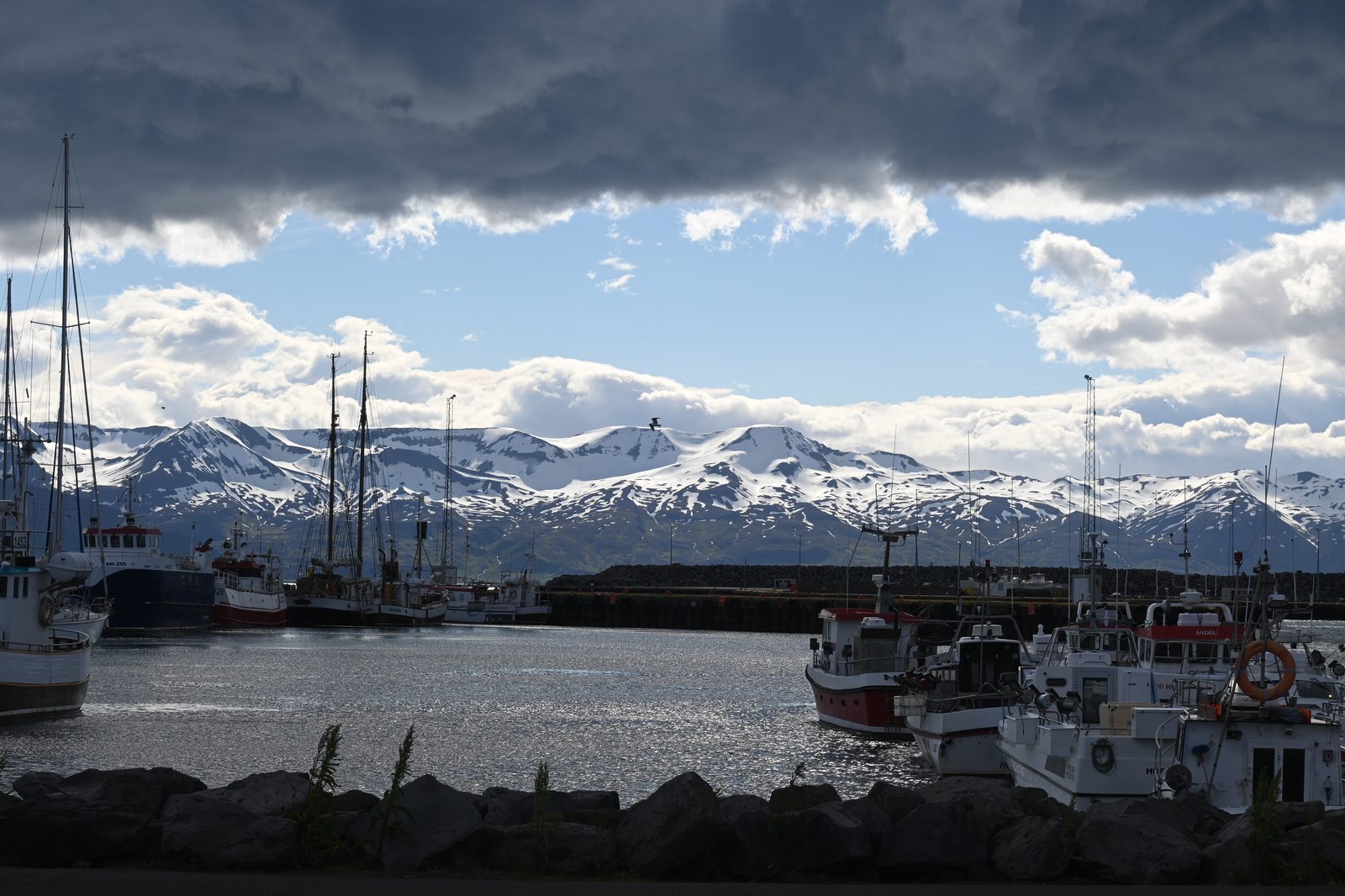 DSC_7938.JPG